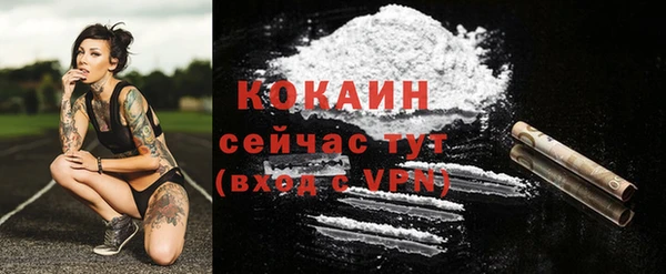 первитин Осинники