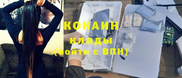 дмт Нягань