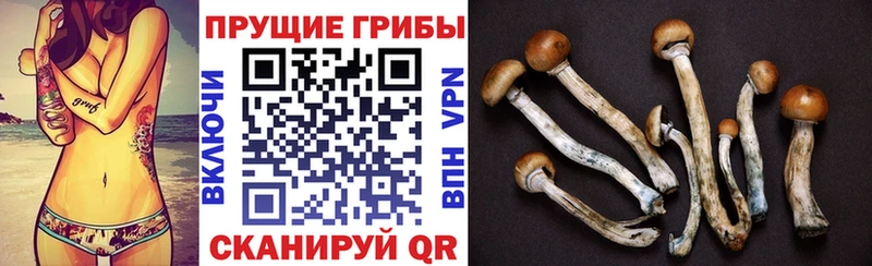 Галлюциногенные грибы Cubensis  Шахты 
