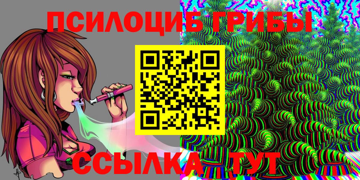 Галлюциногенные грибы Psilocybe Шахты