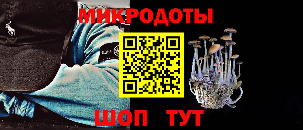 Галлюциногенные грибы Psilocybe  Псилоцибиновые грибы Psilocybine cubensis  Шахты  Вход с VPN 